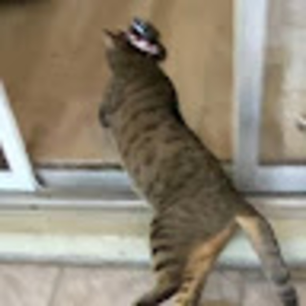 Meet your Posher, Ben and